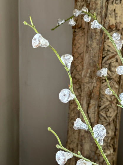 Eucalyptus Seeds Spray – 102 cm