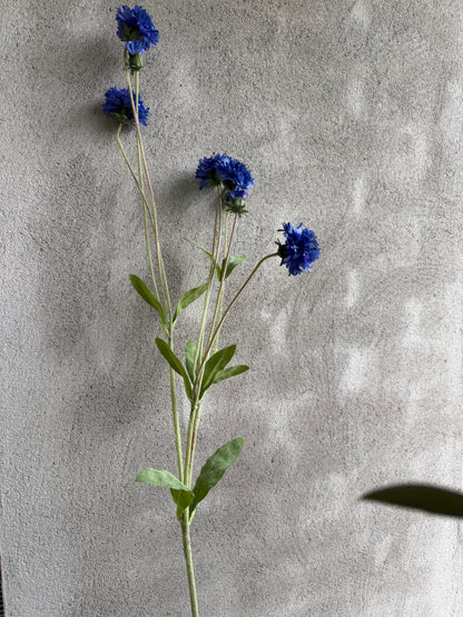 Art Cornflower – deep blue