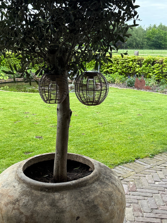 Solar hanglamp Elkya- Verkrijgbaar in 2 maten
