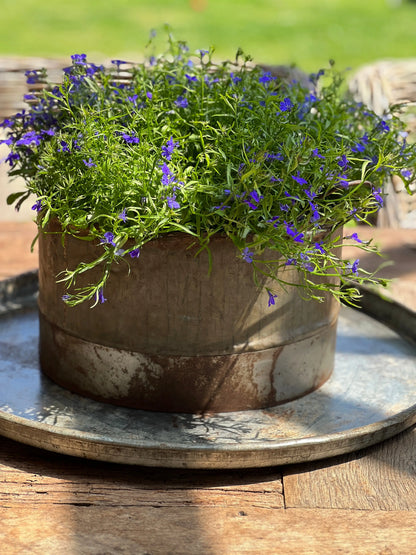 Tough metal pot with handles
