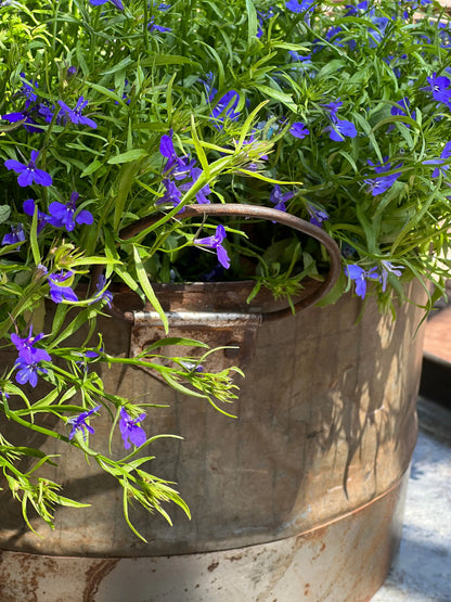 Tough metal pot with handles
