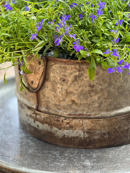 Tough metal pot with handles