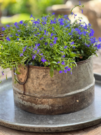 Tough metal pot with handles