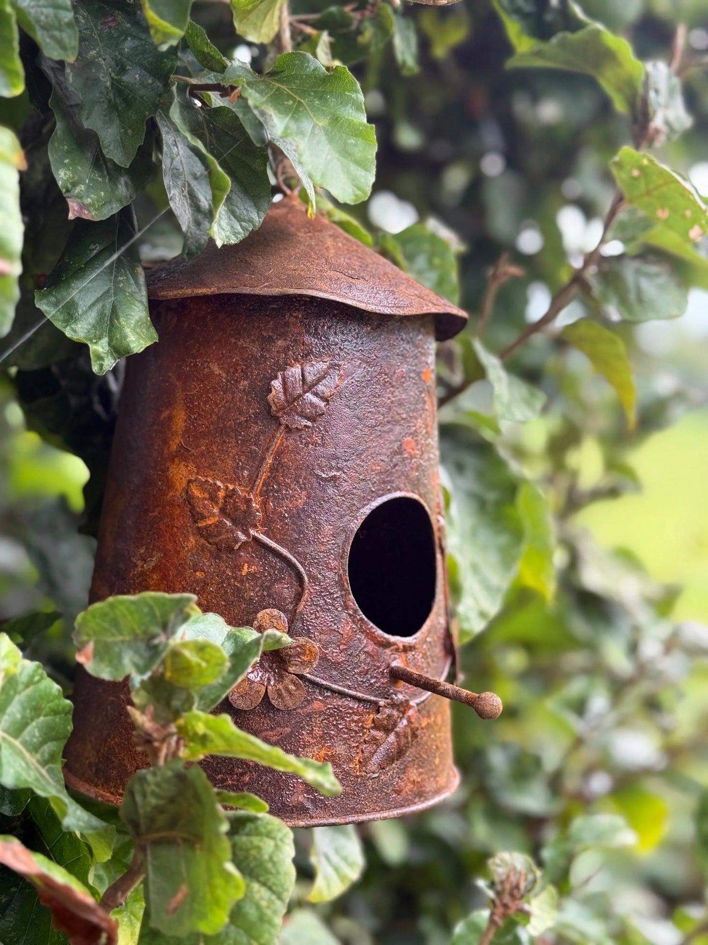 Verrostetes Vogelhaus