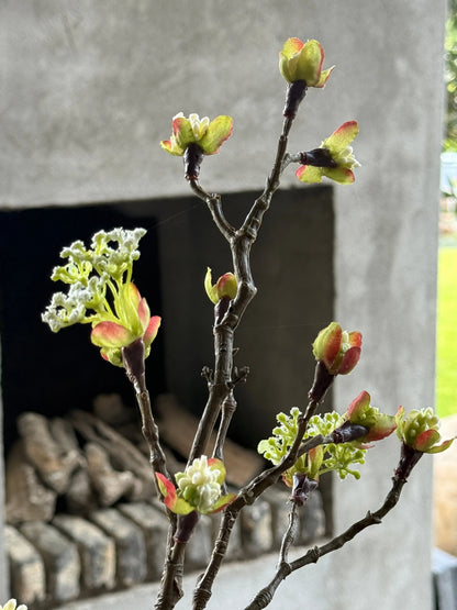 Bloesemtak kunst – wit