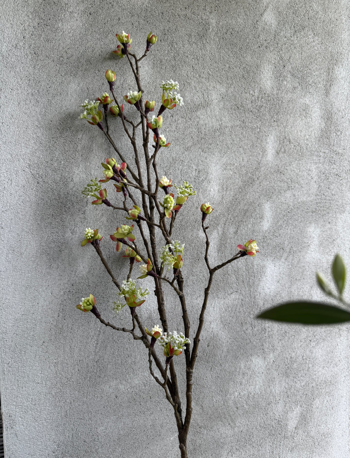 Bloesemtak kunst – wit