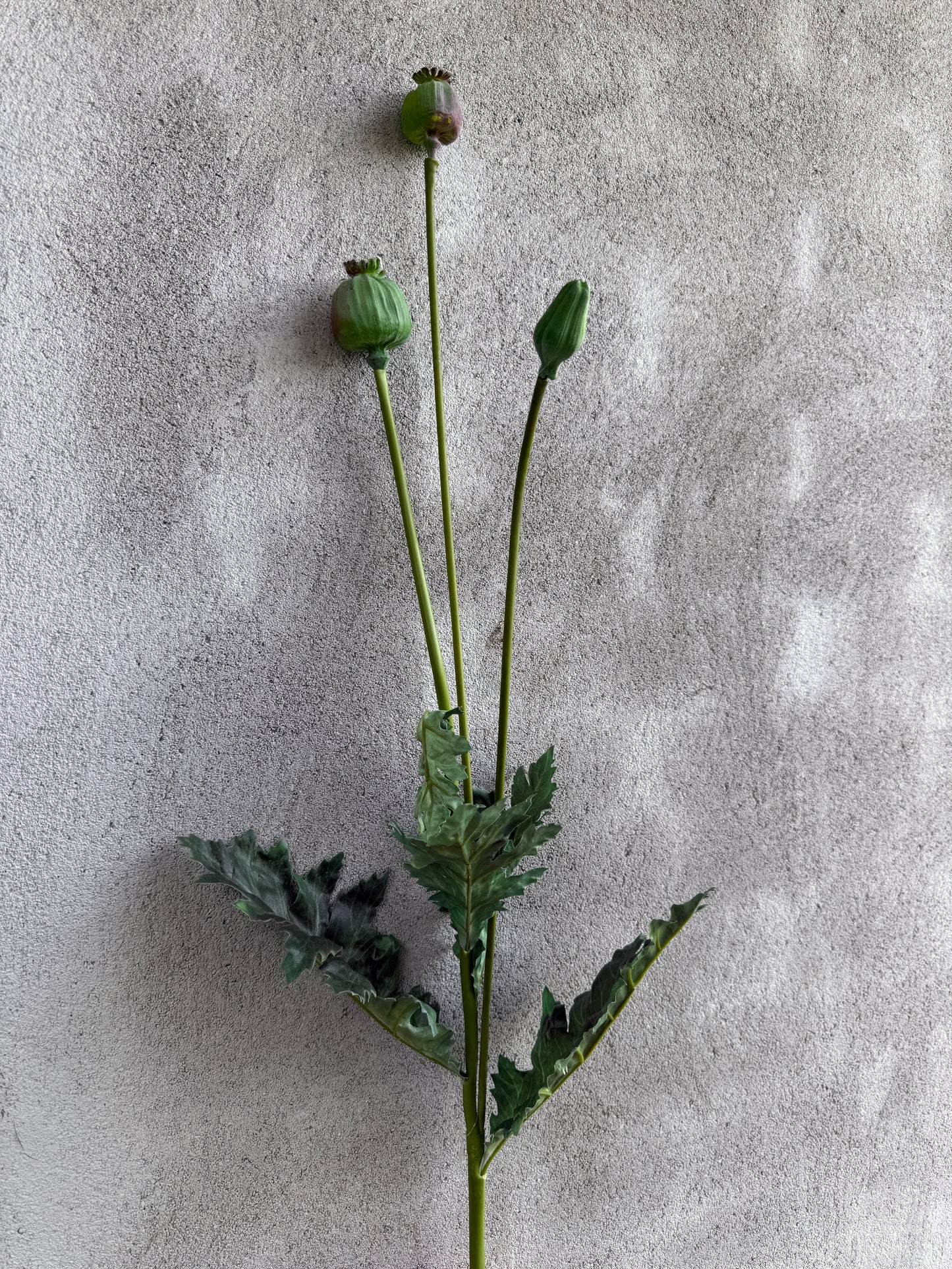 Papavertak kunst – circa 90 cm