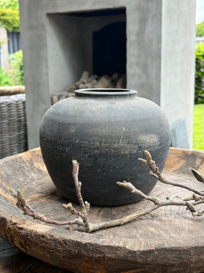 Chinese pot Aura Peeperkorn (LH01)