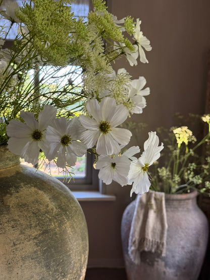 Kunstbloem Cosmos Spray White – 75 cm