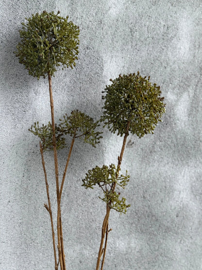 Kunsttak Eupatorium– Groen