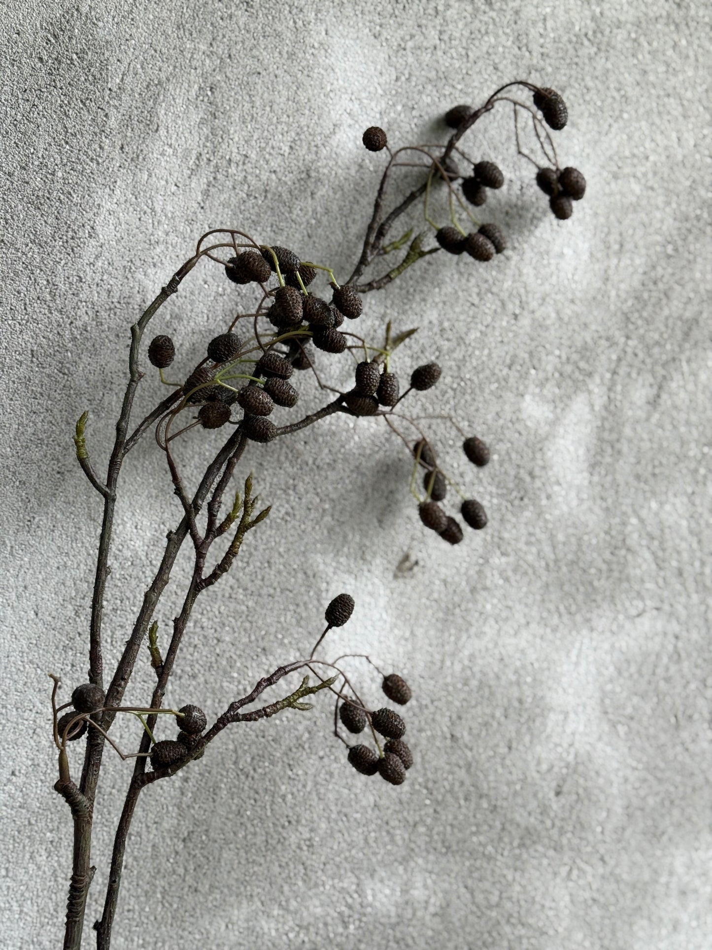 Catkins Branch - Art - 95 cm.