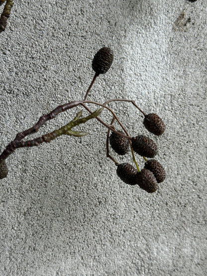 Catkins Branch - Art - 95 cm.