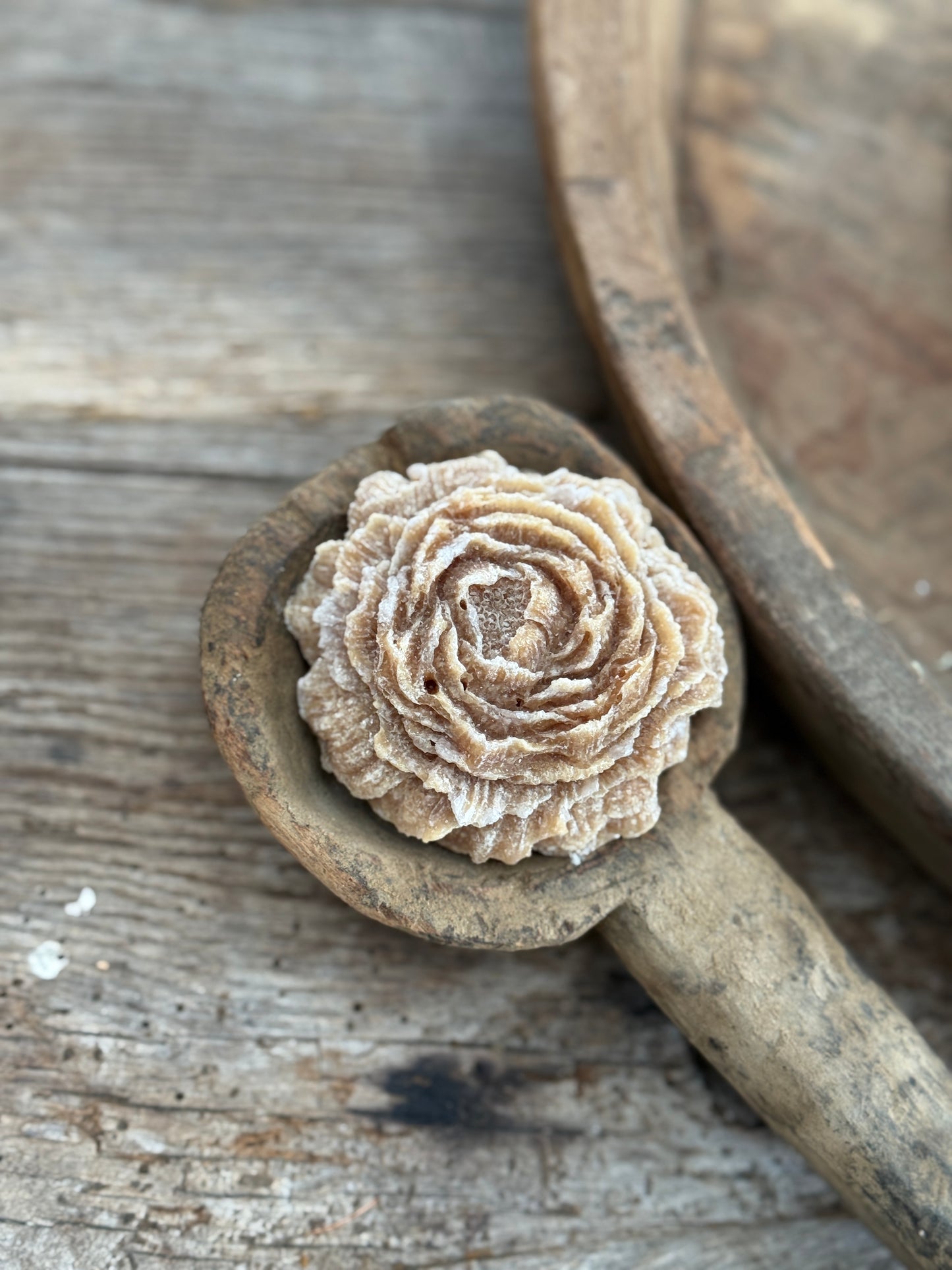 Amber rose "Amber Gold