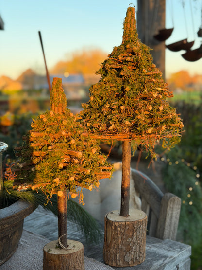 Boompjes van mos | 2 varianten S-M