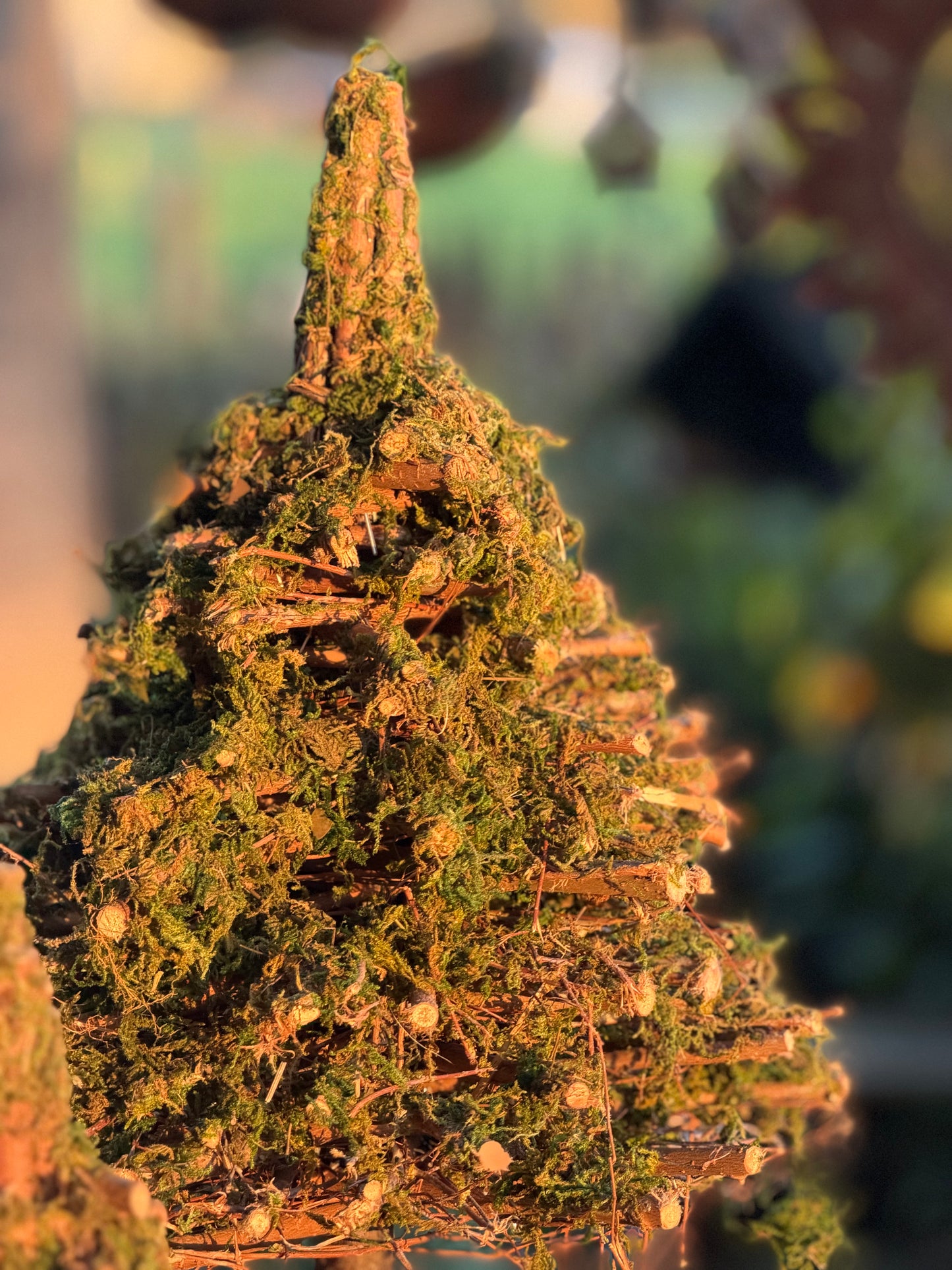 Boompjes van mos | 2 varianten S-M