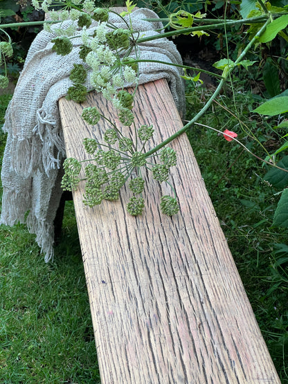 Old Chinese bench