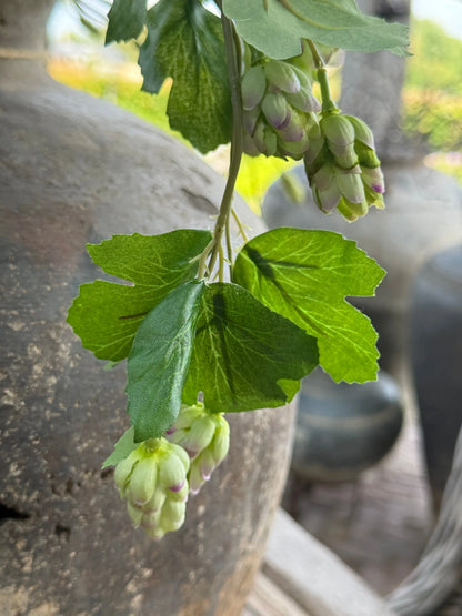 Artificial hop branch – 74 cm