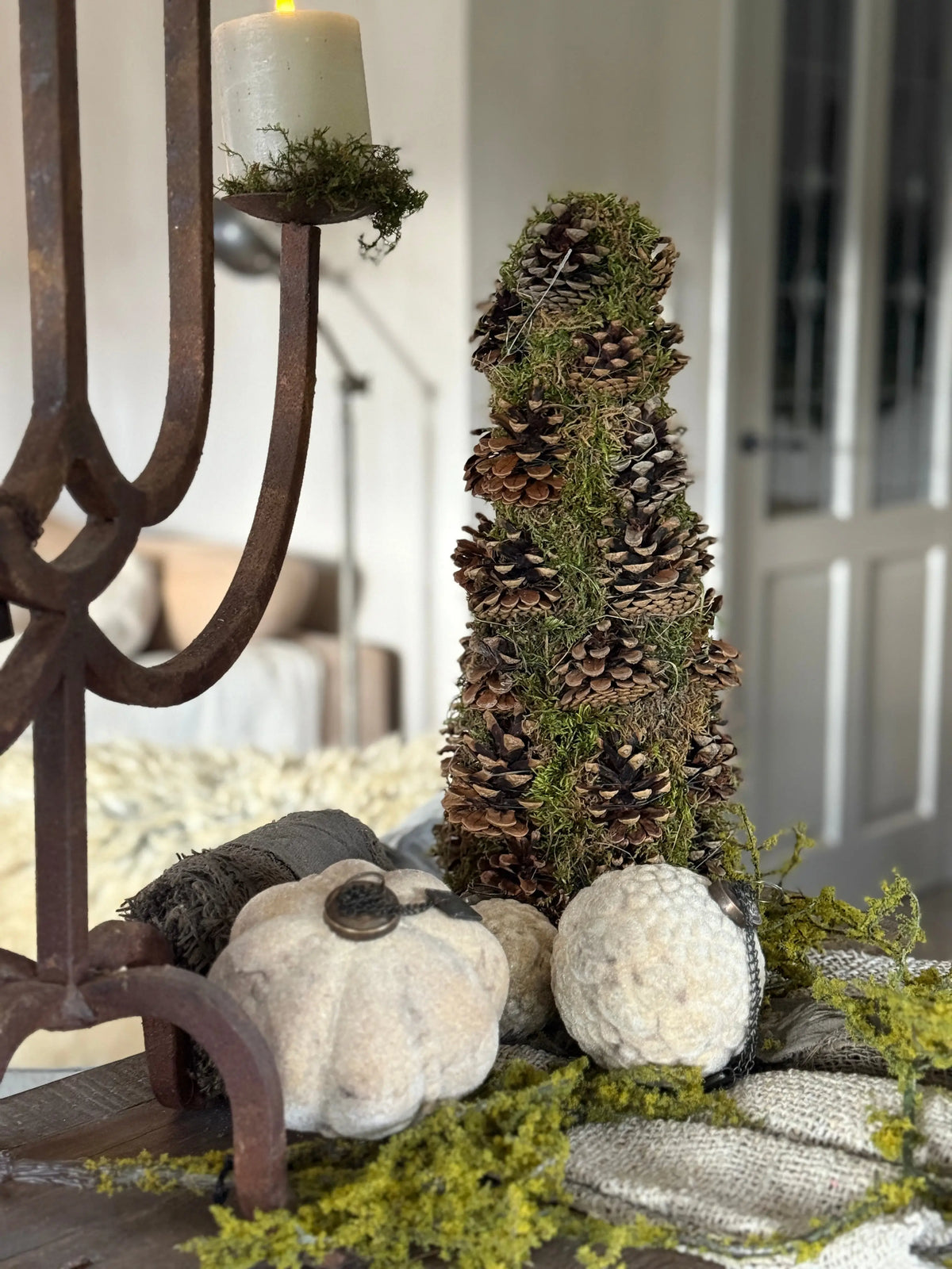 Mos-Dennenappel Boompje – 40 cm