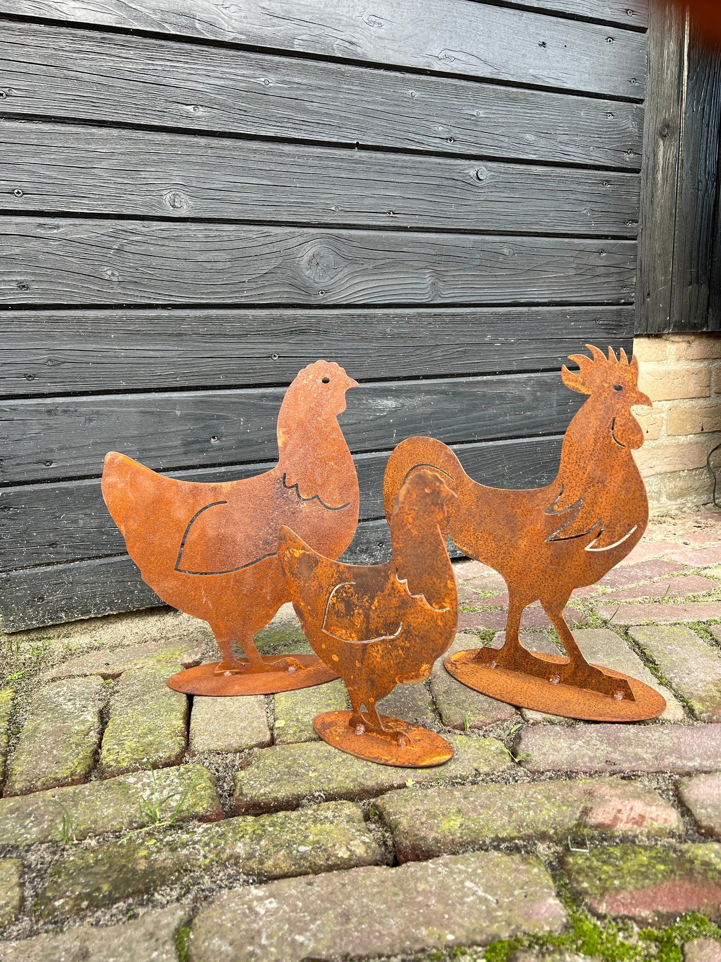 Chicken on foot, rusted