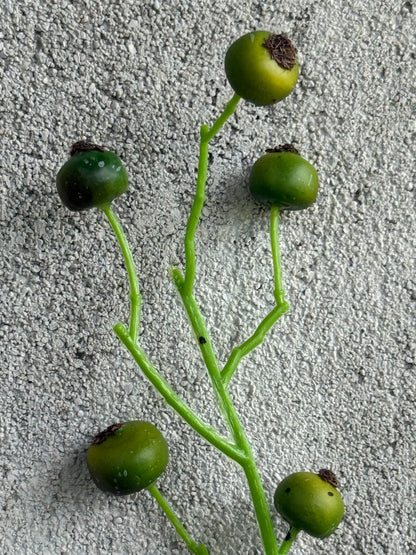 Artificial Green Rosaly Branch – 100 cm