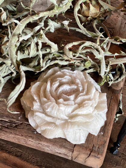 Amber rose white musk