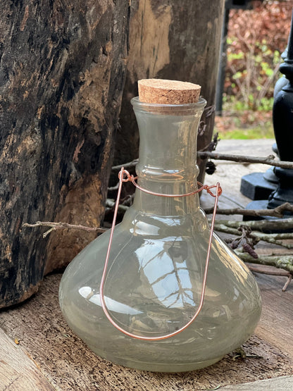Wasp pot available in 3 colours
