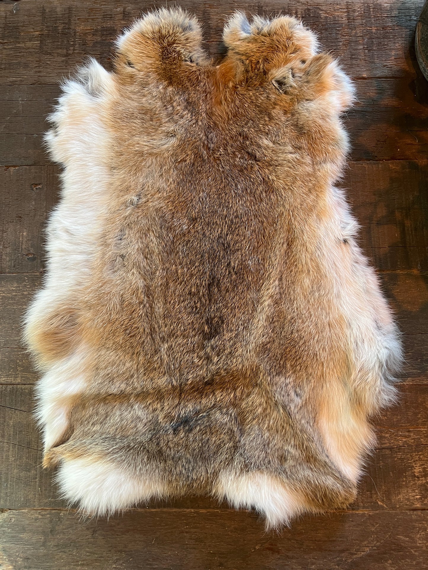 Rabbit fur (Brown/White 11)