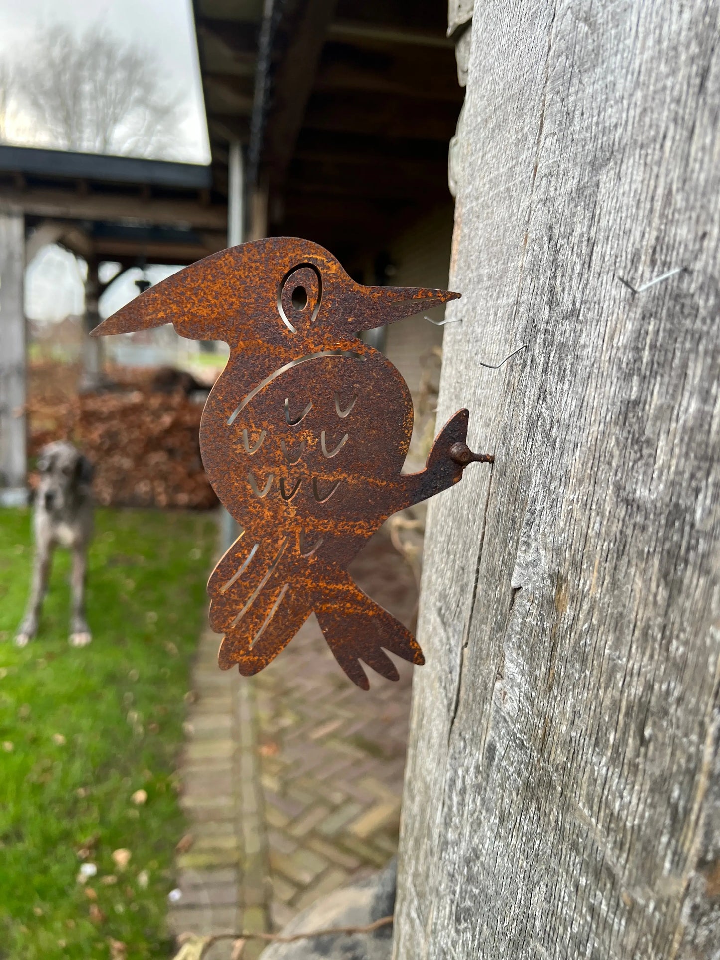 Woodpecker of rust