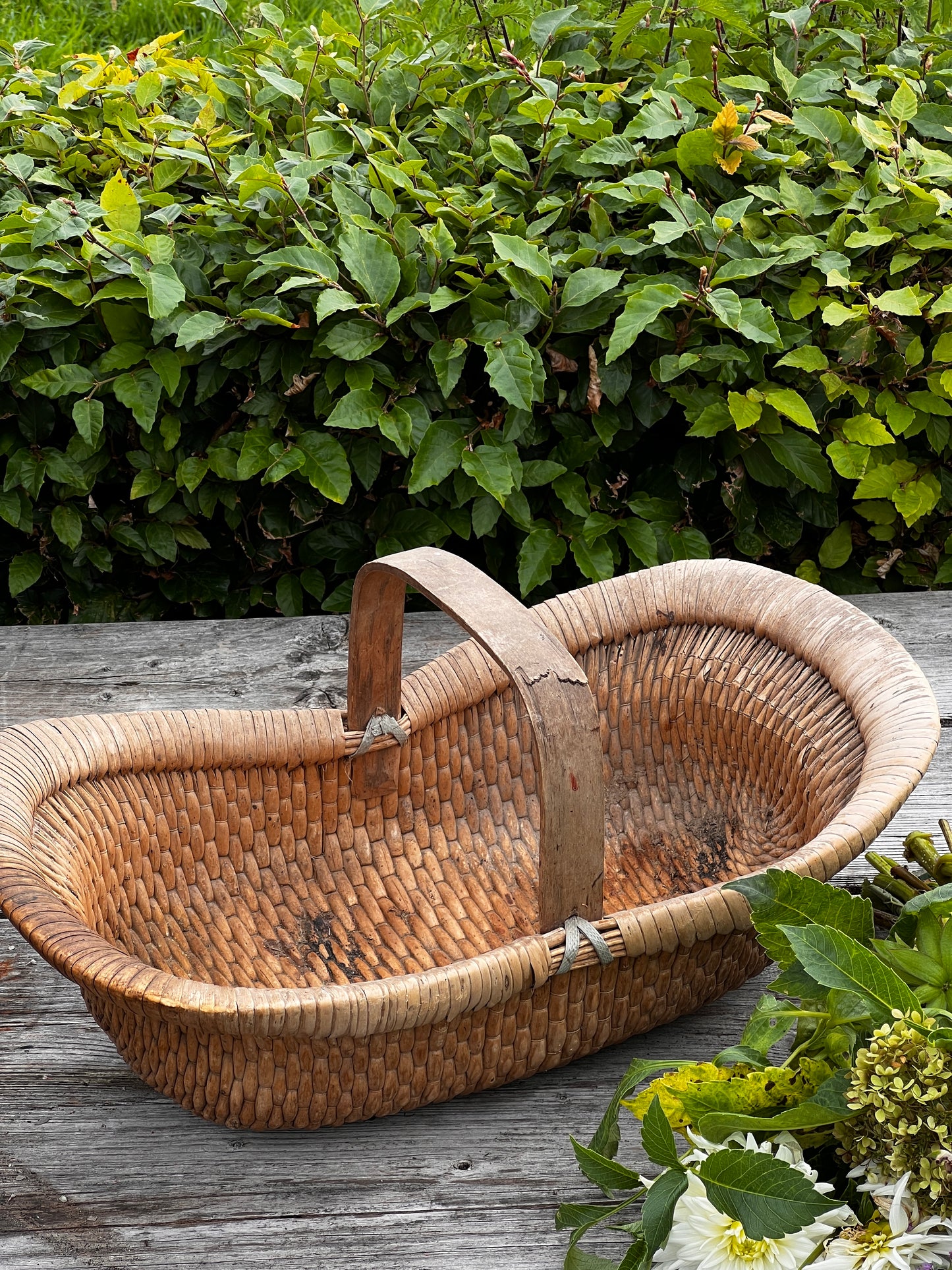 Tea picking basket