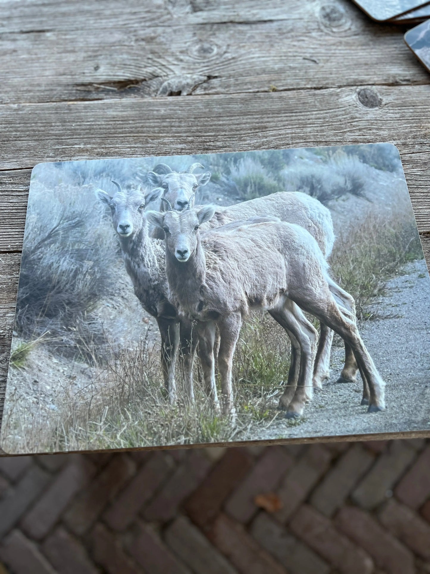 Tischsets drei Schafe, Set mit 4 Stück.