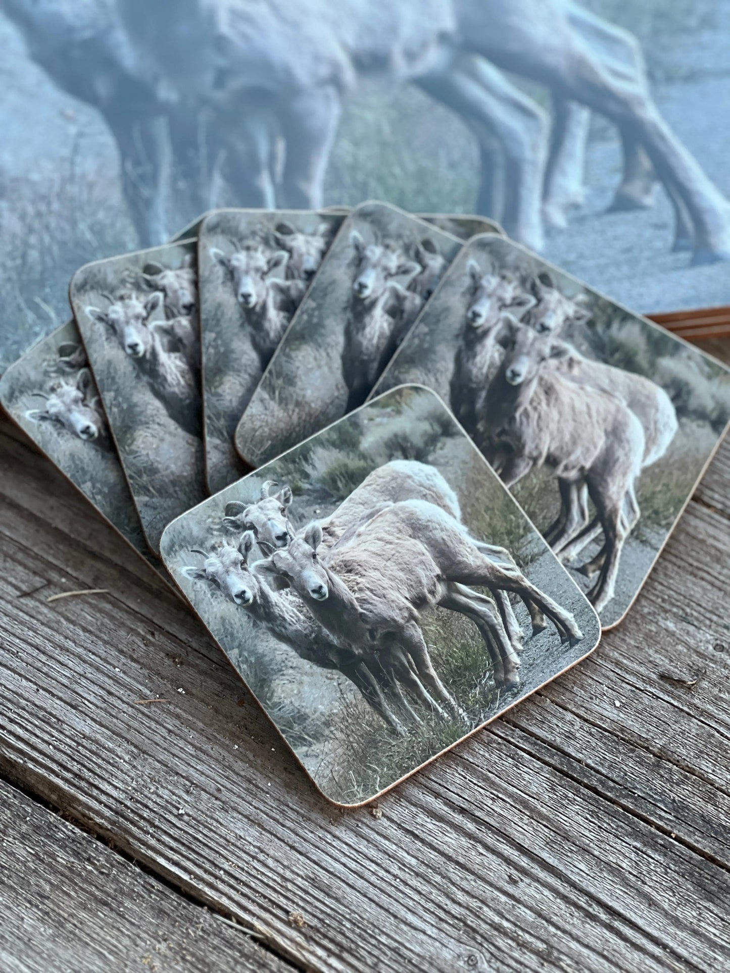 Tischsets drei Schafe, Set mit 4 Stück.
