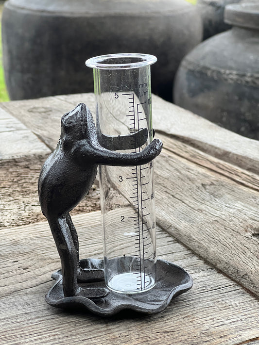 Rain gauge frog