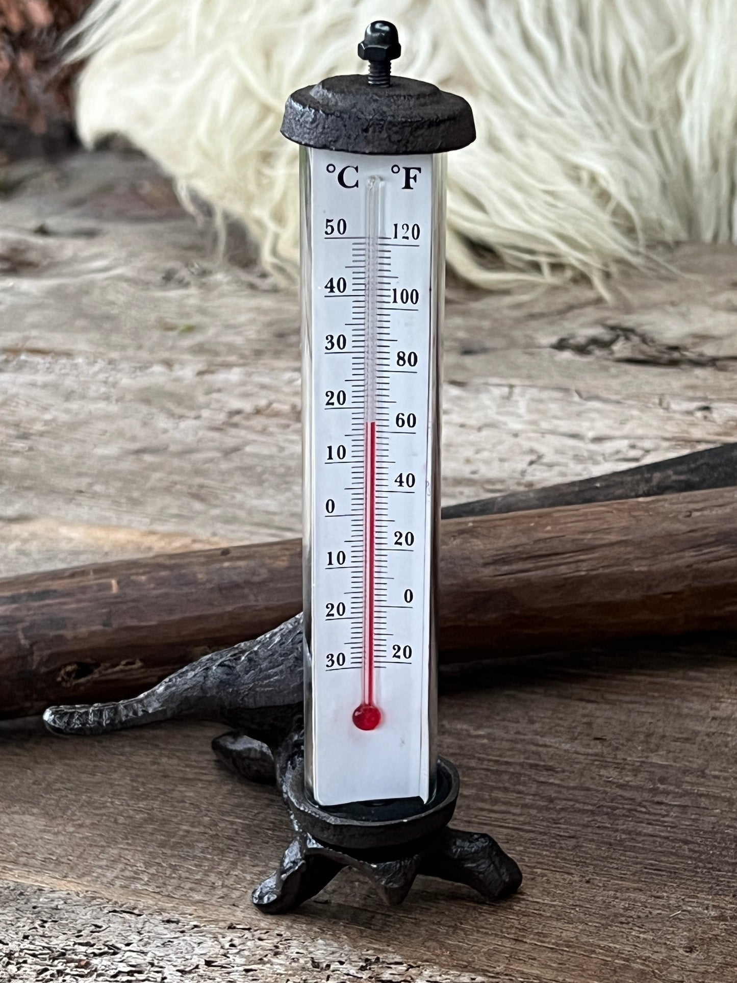 Outdoor Thermometer Bird