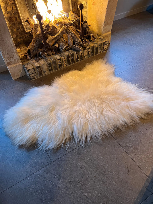 Icelandic cream white coat