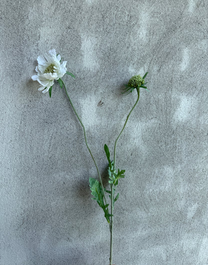 Kunstbloem Scabiosa White – 70 cm