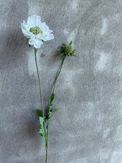 Kunstbloem Scabiosa White – 70 cm