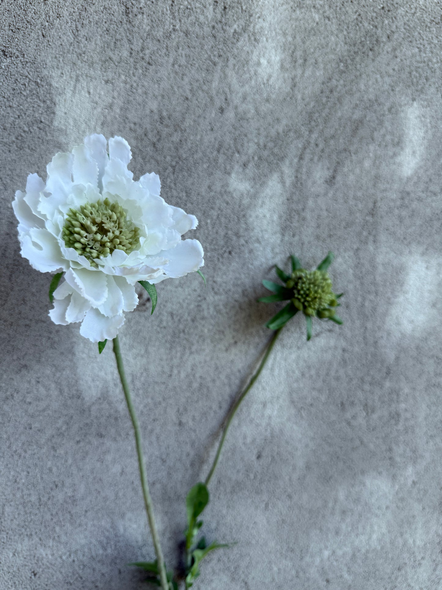 Kunstbloem Scabiosa White – 70 cm