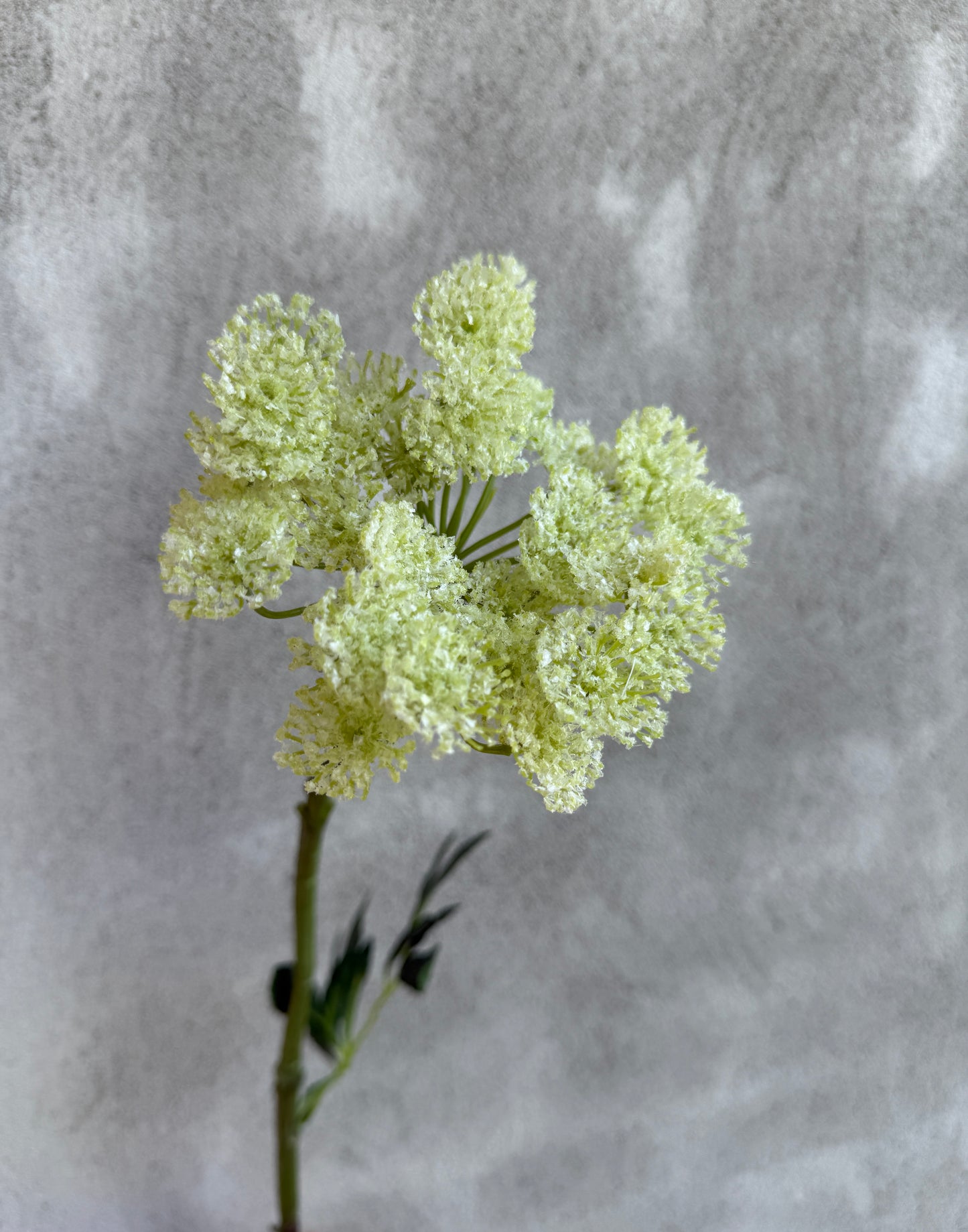 Artificial Flower Queen Anne's Lace White – 77 cm