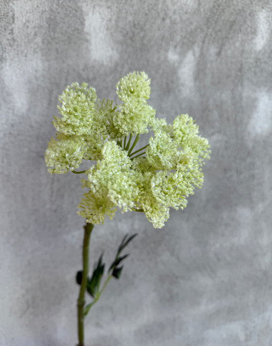 Kunstbloem Queen Anne Glace wit – 77 cm