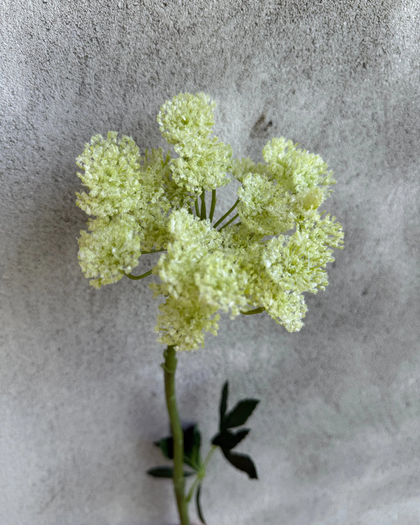 Kunstbloem Queen Anne Glace wit – 77 cm