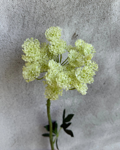 Kunstbloem Queen Anne Glace wit – 77 cm