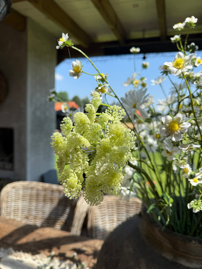 Artificial Flower Queen Anne's Lace White – 77 cm