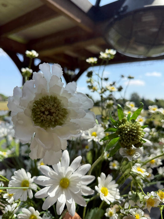 Kunstblume Skabiose Weiß – 70 cm