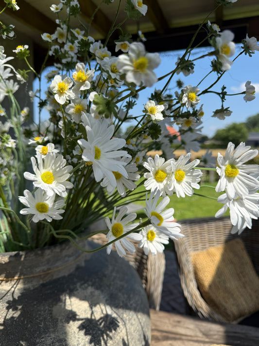 Kunstbloem Daisy Spray (Middle) – 87 cm