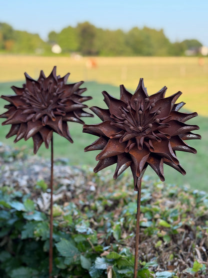 Geroeste metalen Dahlia op steel – 145 cm- Afhaal product