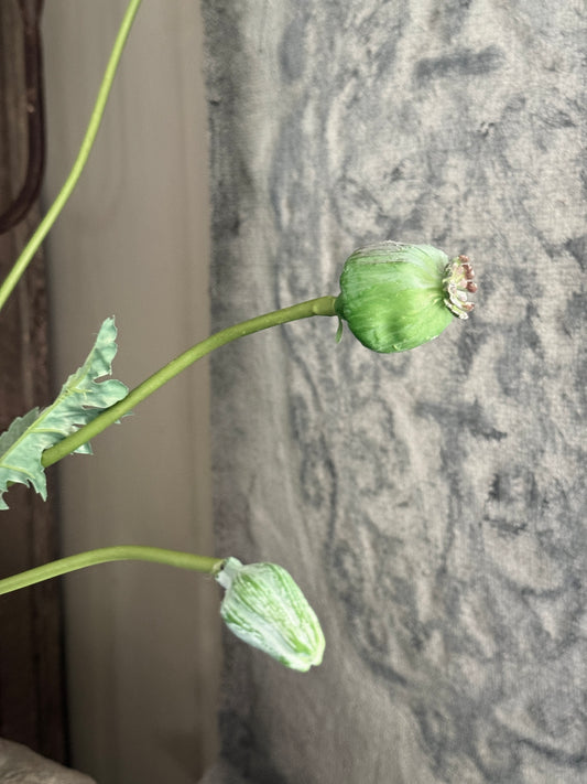 Poppy branch artificial – approx. 90 cm