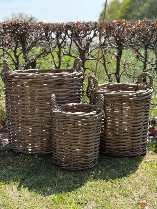Rotan Manden – S / M / L