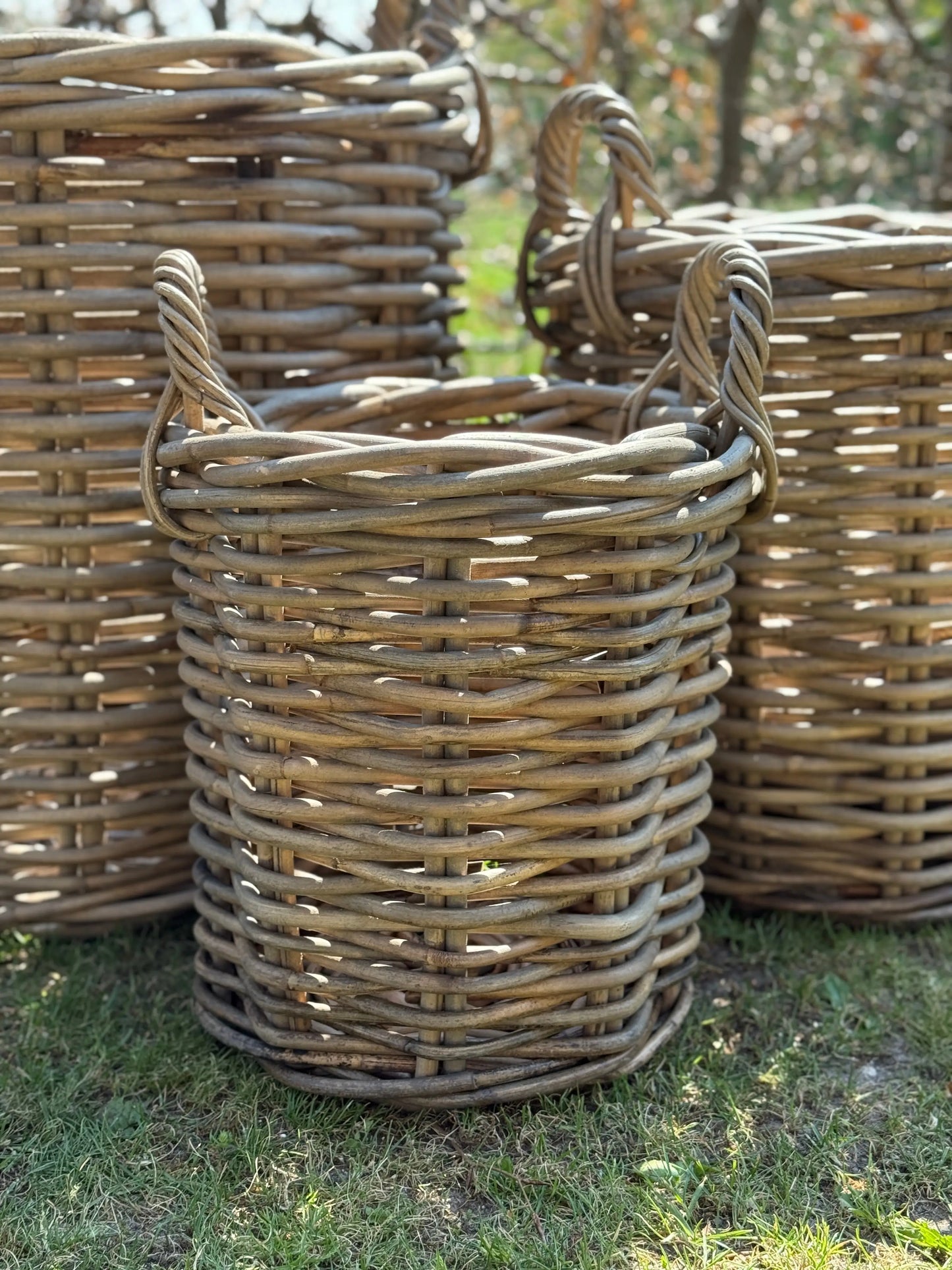 Rotan Manden – S / M / L