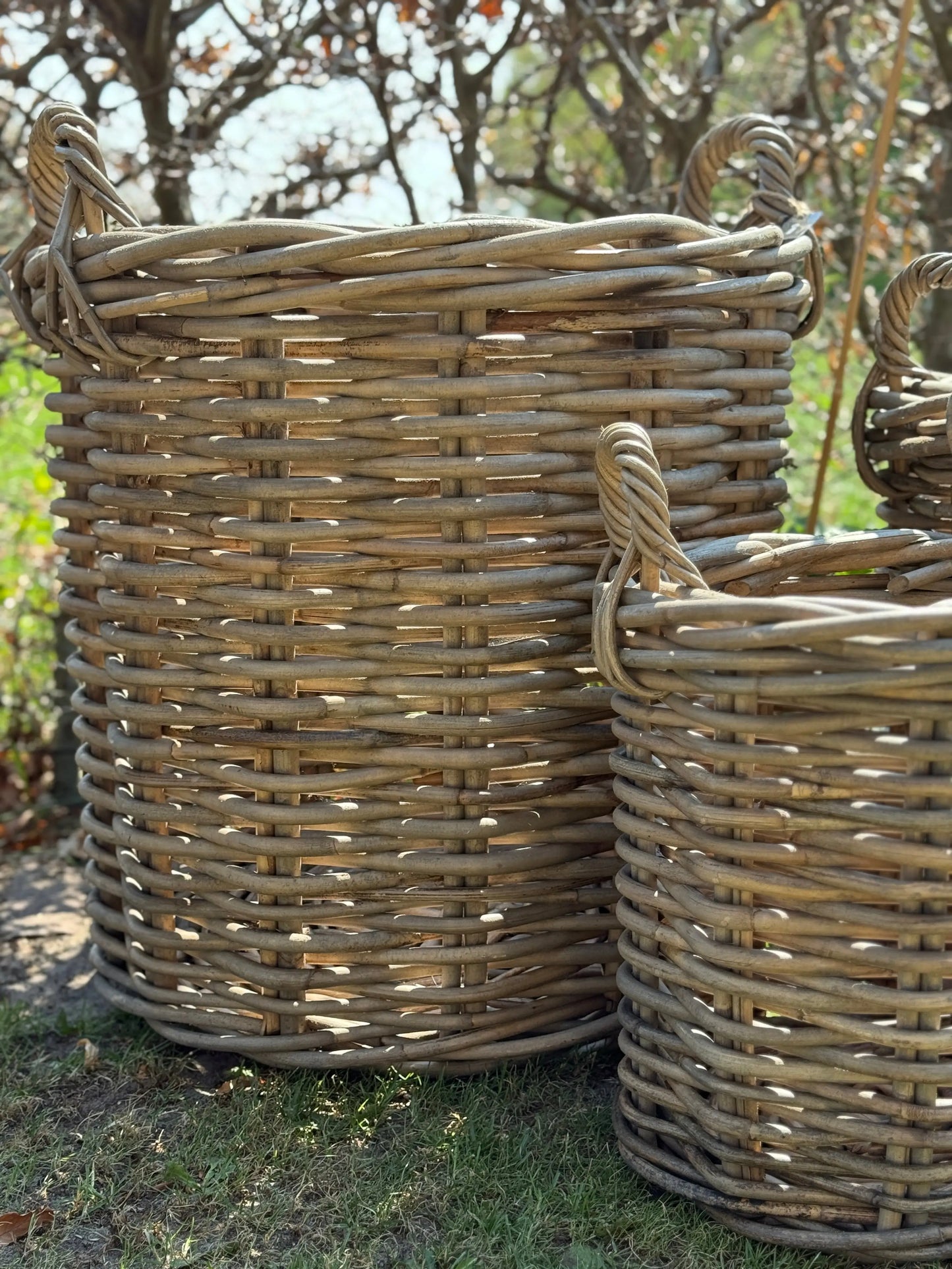 Rotan Manden – S / M / L