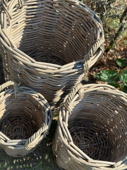 Rotan Manden – S / M / L